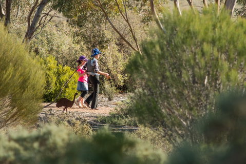 Australian Arid Lands Botanic Garden - Winery Find 0