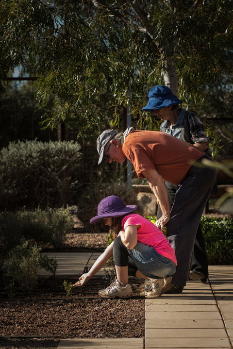 Australian Arid Lands Botanic Garden - Winery Find 1