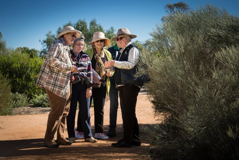 Australian Arid Lands Botanic Garden - Winery Find 2