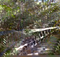 Awaba Bay Foreshore Walk - Winery Find