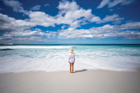 Bay Of Fires - Winery Find 1