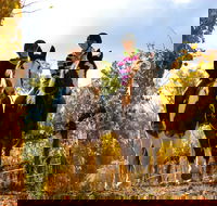 Billabong Ranch Adventure Park - Winery Find