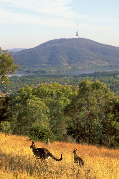 Canberra Centenary Trail - Winery Find 1
