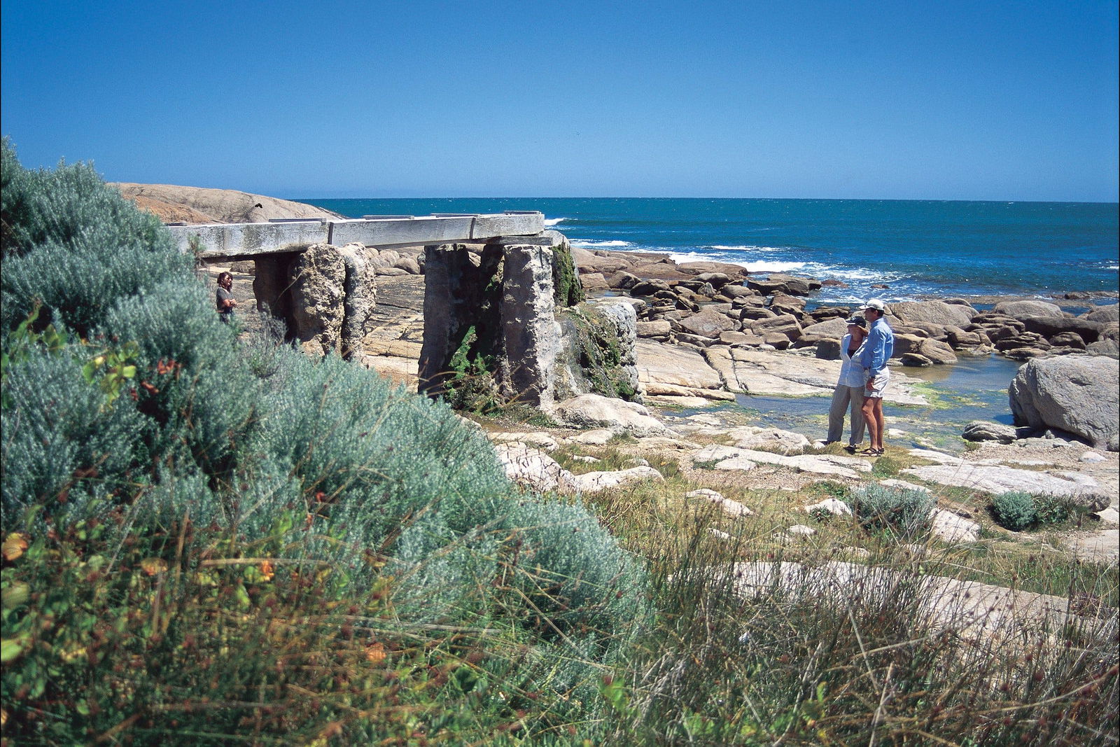 Leeuwin WA Winery Find