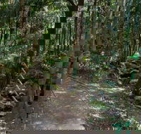 Cascades Walk - Winery Find