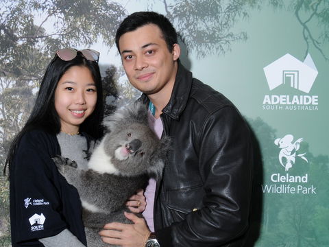 Cleland Wildlife Park - Koala Hold - Winery Find 0