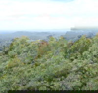 Collombatti Lookout - Winery Find