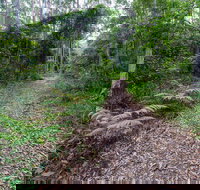 Double Wharf Trail - Winery Find