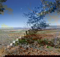 Five Rivers Lookout - Winery Find