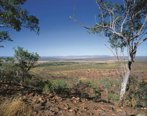 Five Rivers Lookout - Winery Find 0