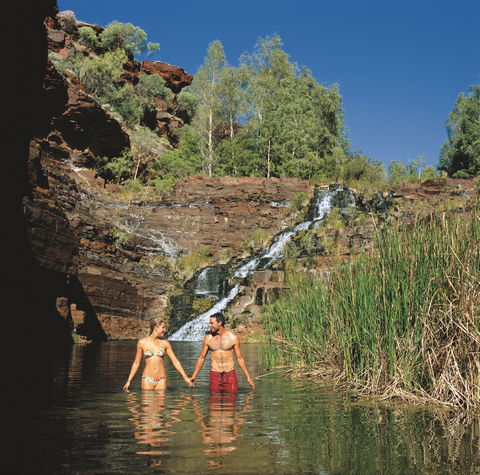 Fortescue Falls - Winery Find 0