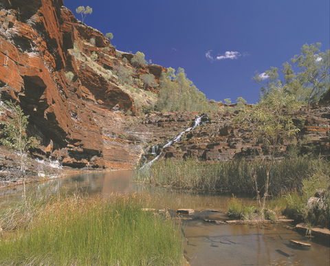 Fortescue Falls - Winery Find 1