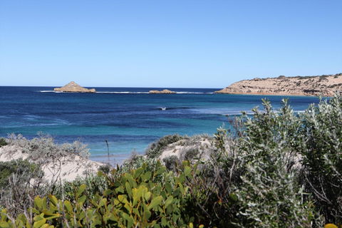 Fowlers Bay Conservation Park - Winery Find 0