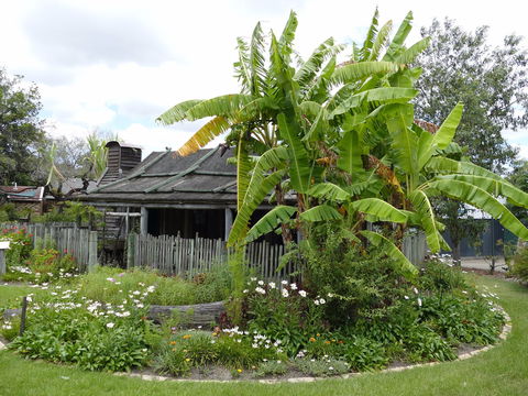 Gold Coast Historical Museum Inc - Winery Find 0