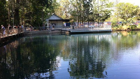 Howard Springs Nature Park - Winery Find 1