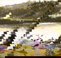 Lake Alford Recreational Park - Winery Find