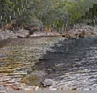 Lake Rowallan - Winery Find