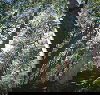 Leeuwin-Naturaliste National Park - Leeuwin - Winery Find