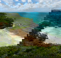 Little Bondi beach - Winery Find