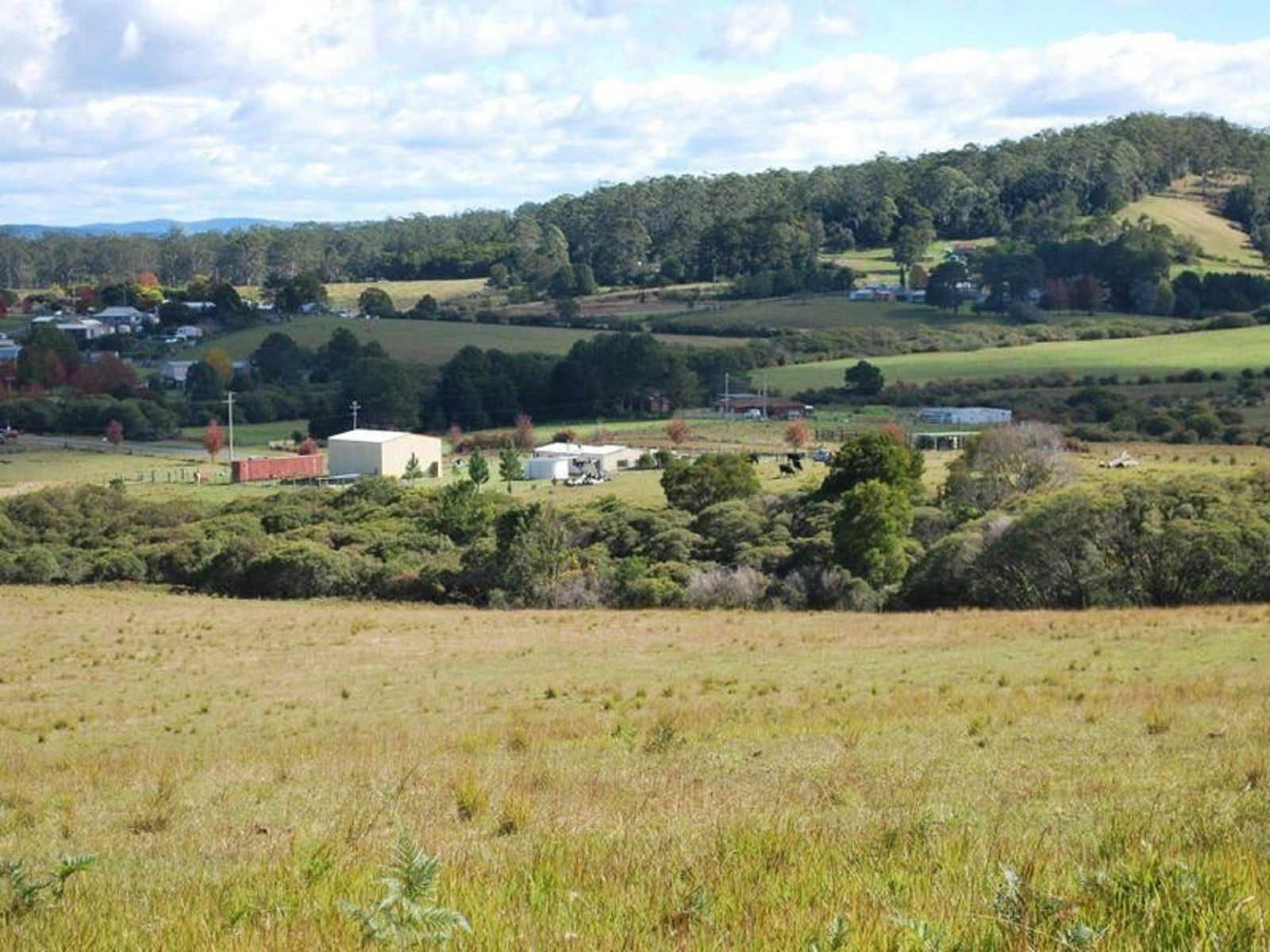 Lowanna NSW Winery Find