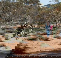 Mallee Stop walking track - Winery Find