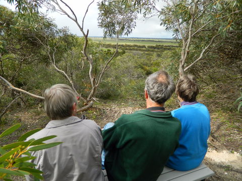 Meningie Lions Walking Trail - Winery Find 1