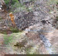 Mill-bullah Walking Track - Winery Find