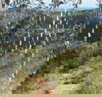 Mount Towac Walk - Winery Find