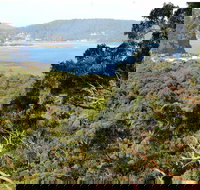 Patonga to Pearl Beach Walking Track - Winery Find