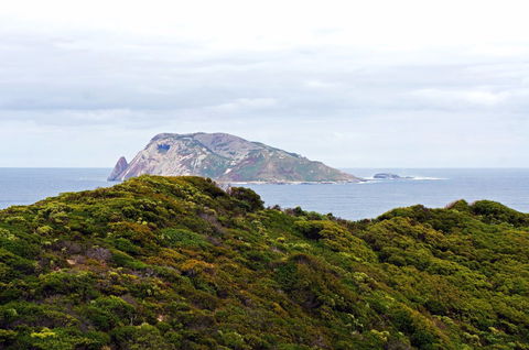 Point D'Entrecasteaux - Winery Find 0
