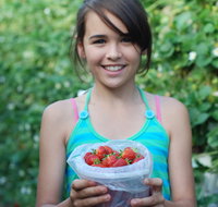 Ricardoes Tomatoes and Strawberries Farm Port Macquarie - Winery Find