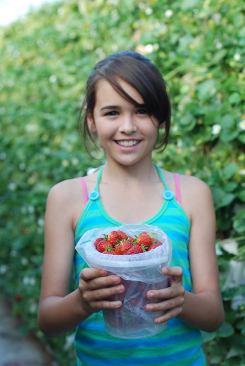 Ricardoes Tomatoes And Strawberries Farm, Port Macquarie - Winery Find 0