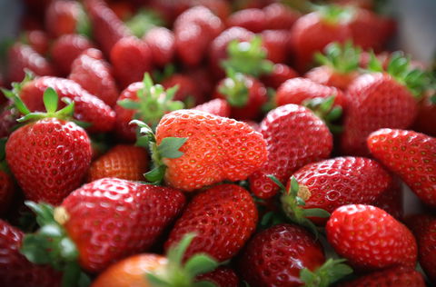 Ricardoes Tomatoes And Strawberries Farm, Port Macquarie - Winery Find 1
