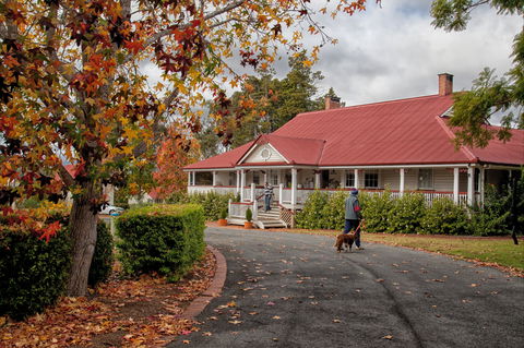 Ringsfield House, Nanango - Winery Find 1