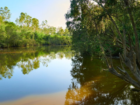 Shapcott Park - Winery Find 1