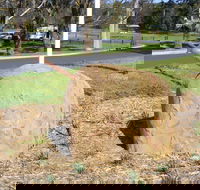 Stratford Historical Society and Museum - Winery Find