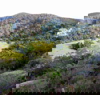 The Bellbird - Winery Find