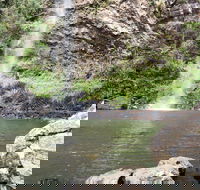 Twin Falls Circuit Springbrook National Park - Winery Find