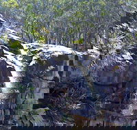 Ugly Corner Falls Walking Track - Winery Find