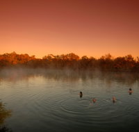 Witjira National Park - Winery Find