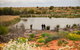 Witjira National Park - thumb 2