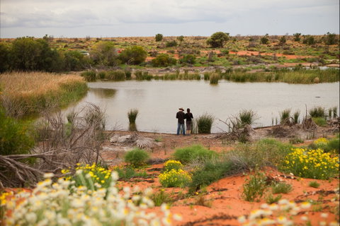 Witjira National Park - Winery Find 2