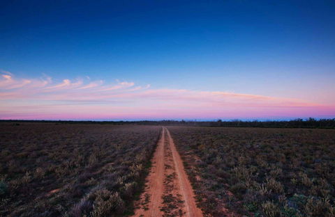 Yanga National Park - Winery Find 0