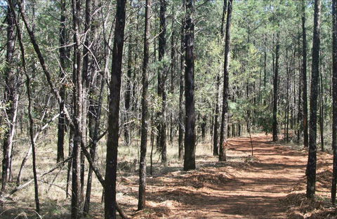 Yana-y Warruwi Walking Track - Winery Find 0