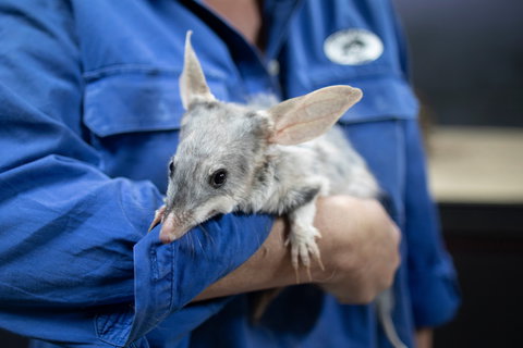 9 Day Outback Adventure - Winery Find 0