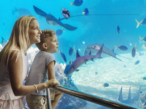 Australia's Sea World - Winery Find 2