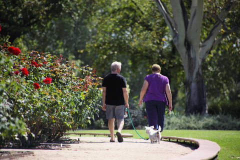Benalla Botanical Gardens - Winery Find 1
