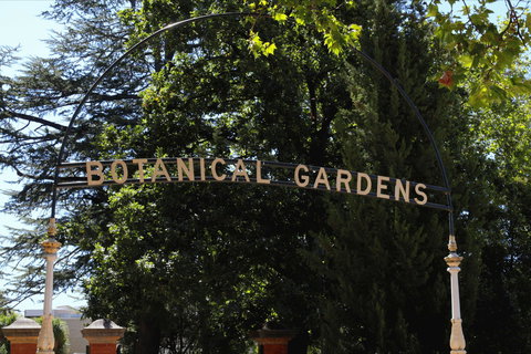 Benalla Botanical Gardens - Winery Find 2
