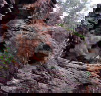 Bertha's Gully Walking Track - Winery Find