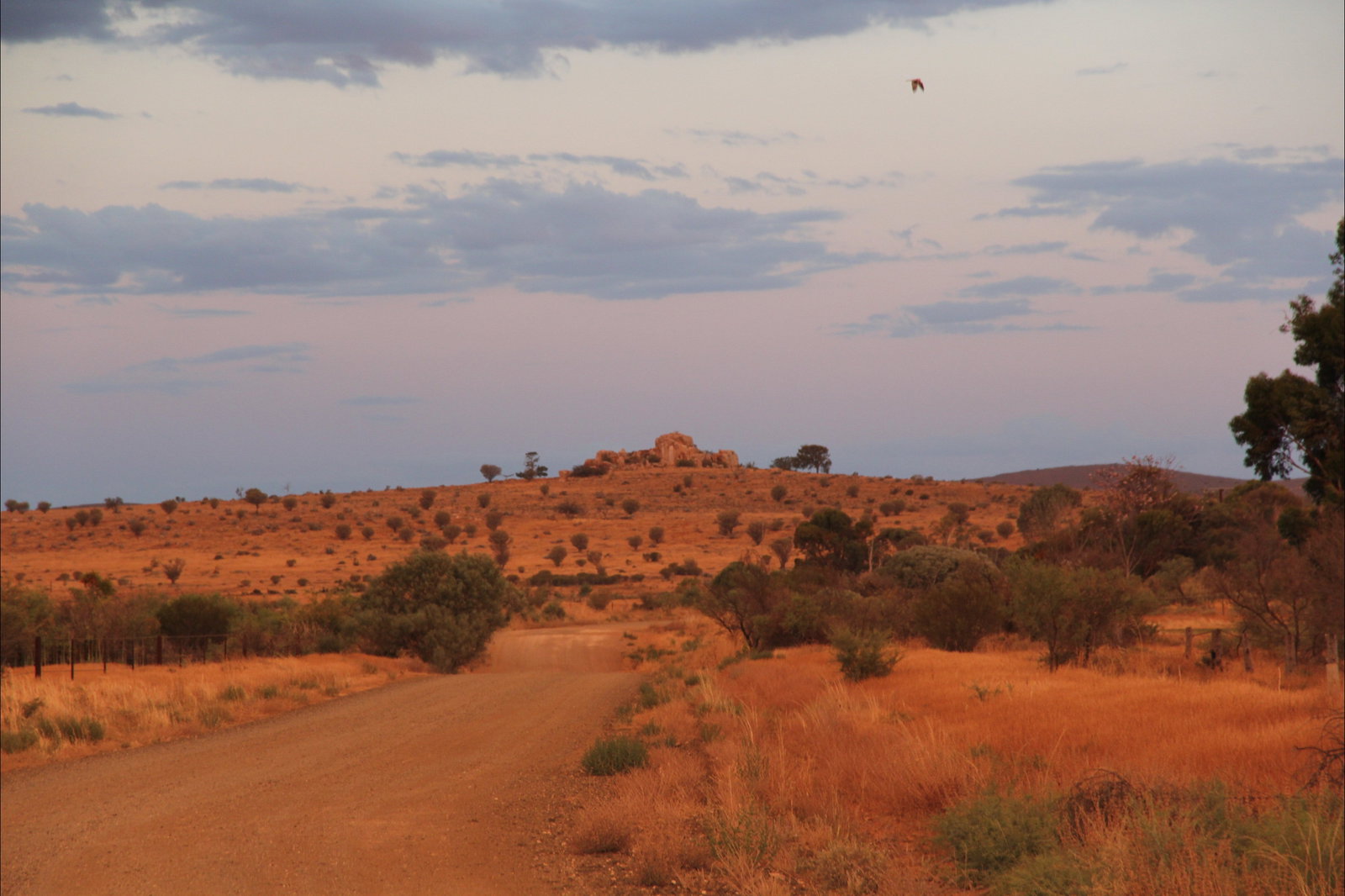 Flinders Ranges And Outback SA Winery Find